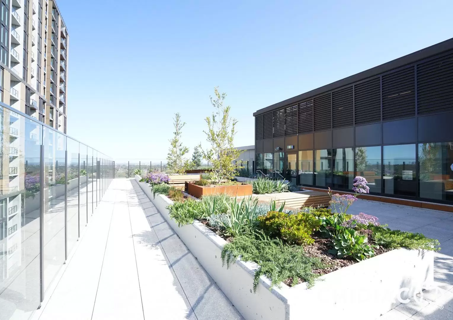 A2113/1 Network Place, North Ryde Leased by Chidiac Realty - image 3