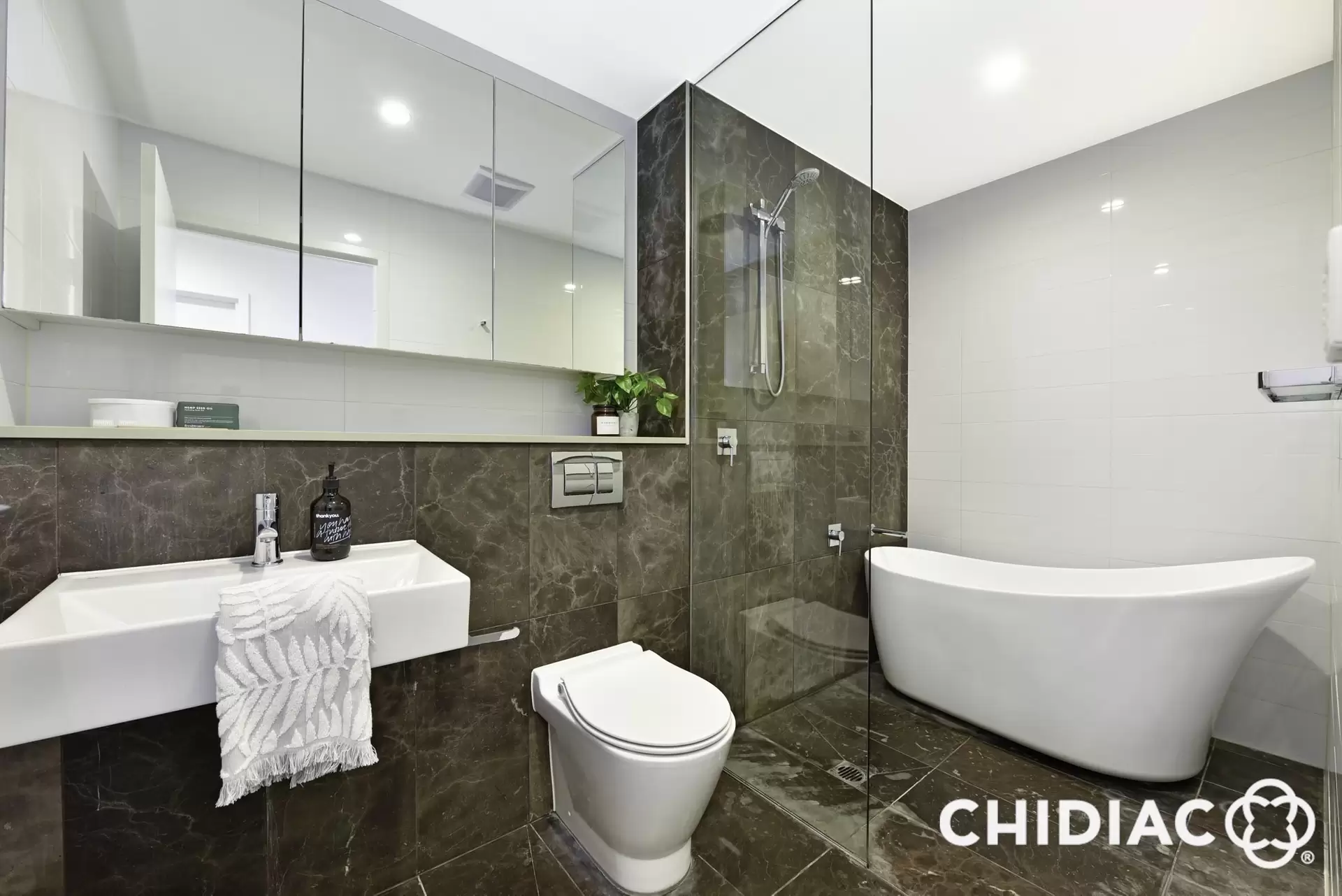 302/23 The Promenade, Wentworth Point Leased by Chidiac Realty - image 1