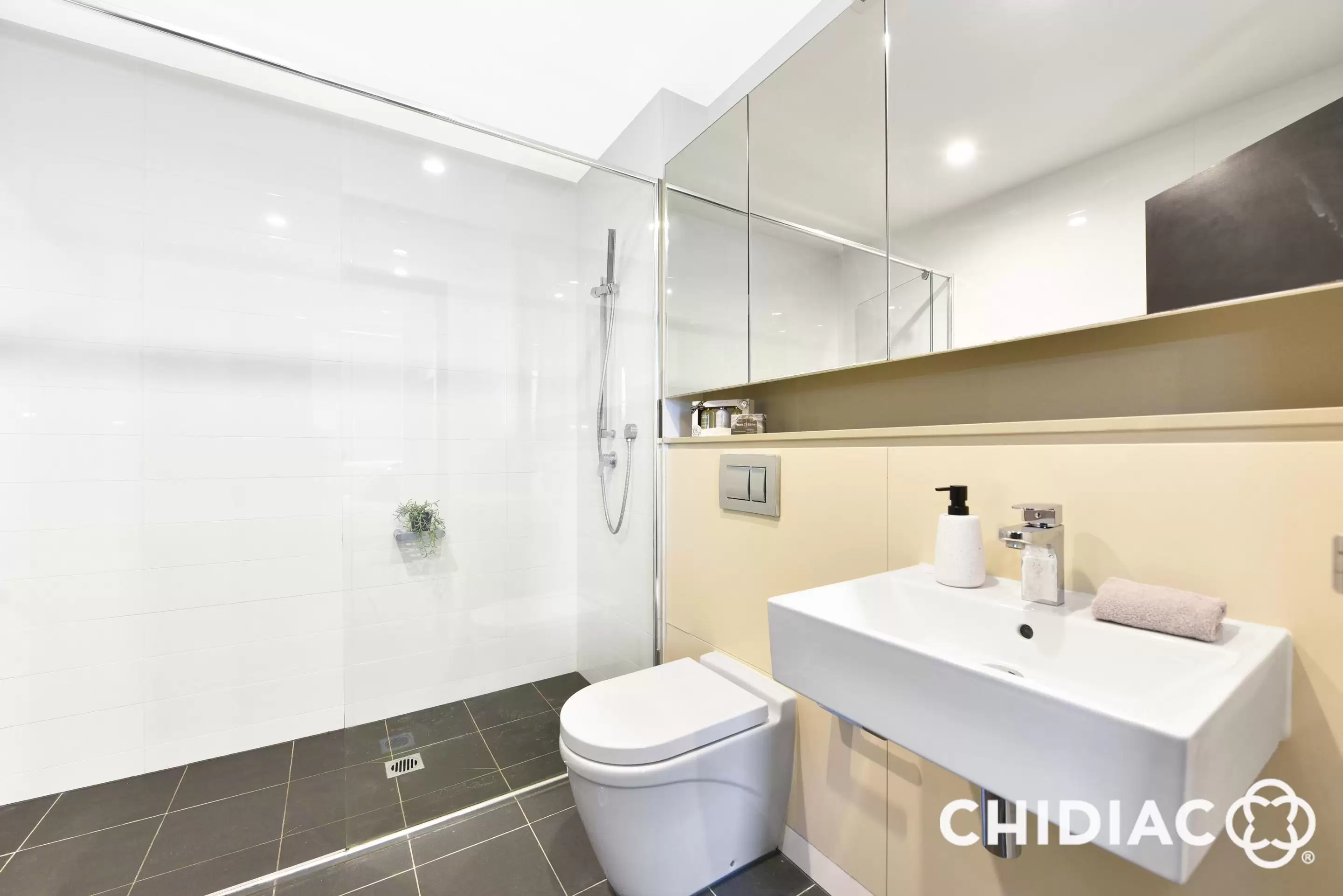 217/14 Nuvolari Place, Wentworth Point Leased by Chidiac Realty - image 7