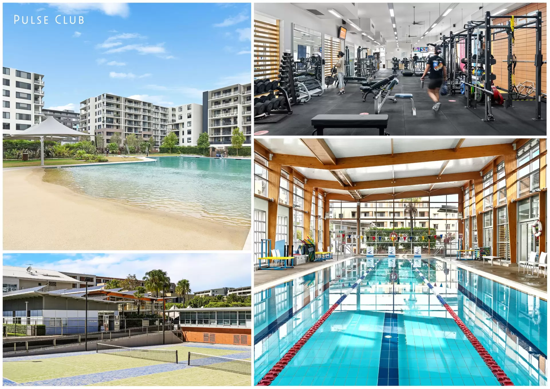 307/4 The Piazza, Wentworth Point Sold by Chidiac Realty - image 1