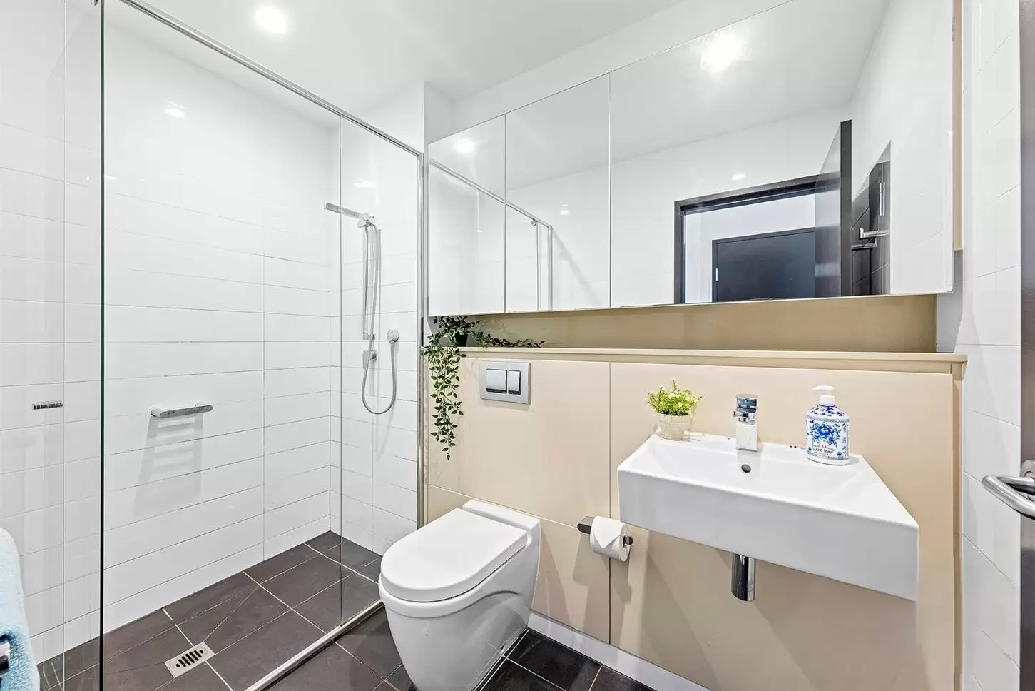 301/8 Nuvolari Place, Wentworth Point Leased by Chidiac Realty - image 6